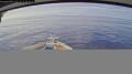 Webcam Norwegian Jewel