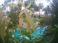 Webcam Cabarete