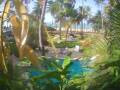 Webcam Cabarete