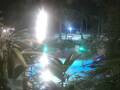 Webcam Cabarete