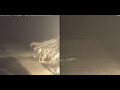 Webcam Marsa Alam