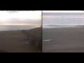 Webcam Marsa Alam