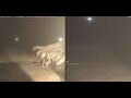 Webcam Marsa Alam
