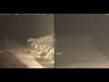 Webcam Marsa Alam