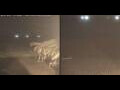 Webcam Marsa Alam