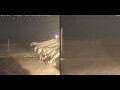 Webcam Marsa Alam