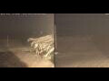 Webcam Marsa Alam