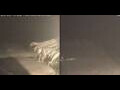 Webcam Marsa Alam