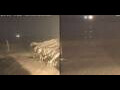 Webcam Marsa Alam