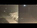 Webcam Marsa Alam
