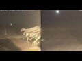 Webcam Marsa Alam