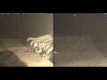 Webcam Marsa Alam