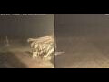 Webcam Marsa Alam