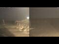 Webcam Marsa Alam