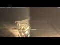 Webcam Marsa Alam