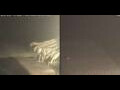 Webcam Marsa Alam