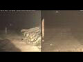 Webcam Marsa Alam