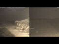 Webcam Marsa Alam
