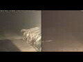 Webcam Marsa Alam