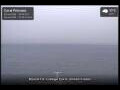 Webcam Coral Princess