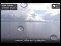 Webcam Coral Princess