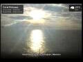 Webcam Coral Princess