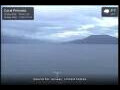 Webcam Coral Princess