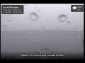 Webcam Coral Princess