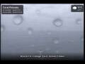 Webcam Coral Princess