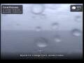 Webcam Coral Princess