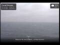 Webcam Coral Princess