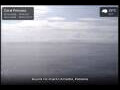 Webcam Coral Princess
