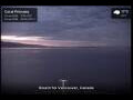 Webcam Coral Princess