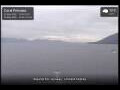 Webcam Coral Princess