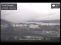 Webcam Coral Princess