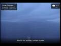 Webcam Coral Princess