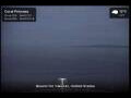 Webcam Coral Princess