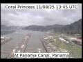 Webcam Coral Princess