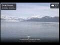 Webcam Coral Princess