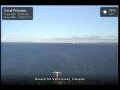 Webcam Coral Princess