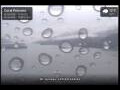 Webcam Coral Princess
