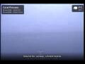 Webcam Coral Princess