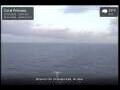 Webcam Coral Princess