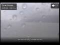 Webcam Coral Princess