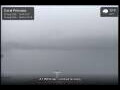 Webcam Coral Princess
