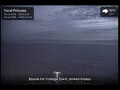 Webcam Coral Princess