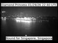 Webcam Diamond Princess