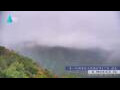 Webcam Zhangjiajie