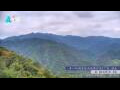 Webcam Zhangjiajie
