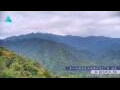 Webcam Zhangjiajie